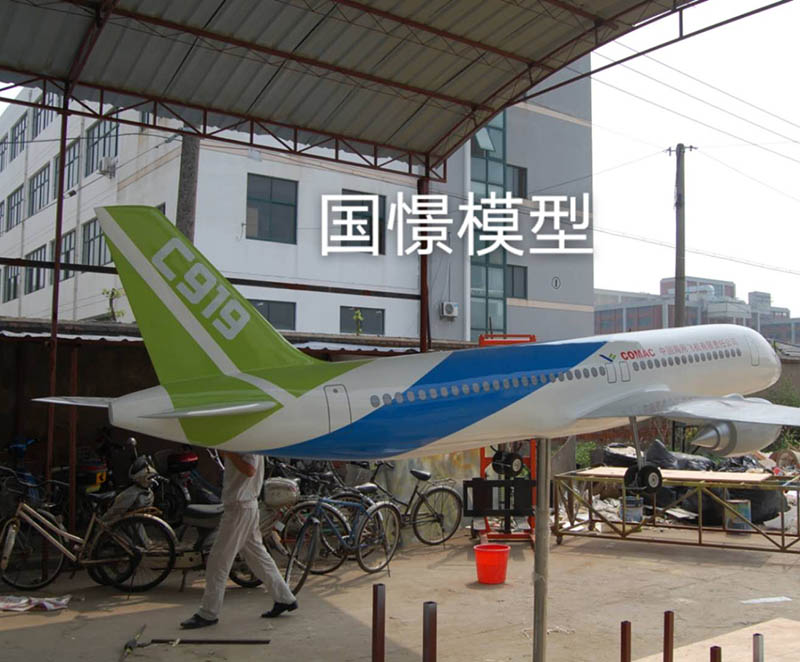 于田县飞机模型